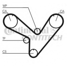 CT893 CONTITECH Ремень ГРМ