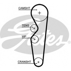 5665XS GATES Ремень ГРМ
