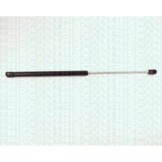 8710 2416 TRIDON Gas spring rear