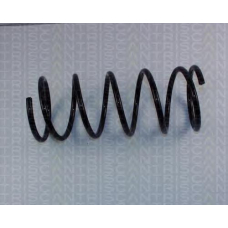 8750 1428 TRIDON Coil spring rear