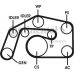 6PK2490D1 CONTITECH Поликлиновой ременный комплект
