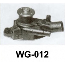 WG-012 ASCO Водяной насос