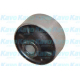 SCR-3036<br />KAVO PARTS