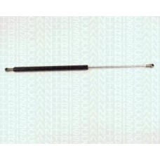 8710 21202 TRIDON Gas spring rear