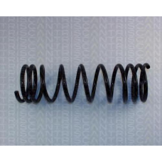 8750 1431 TRIDON Coil spring rear