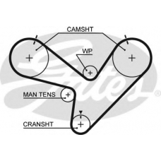 5366XS GATES Ремень ГРМ