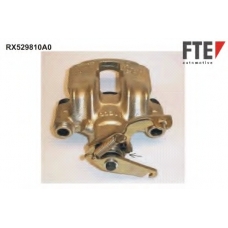 RX529810A0 FTE Тормозной суппорт