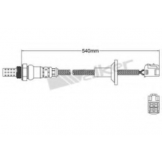 250-24486 WALKER Лямбда-зонд