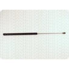 8710 29110 TRIDON Gas spring front
