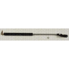 8710 13249 TRIDON Gas spring rear