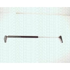 8710 13231 TRIDON Gas spring rear