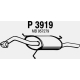 P3919