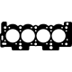 414310P<br />CORTECO