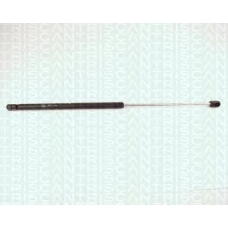 8710 28204 TRIDON Gas spring rear