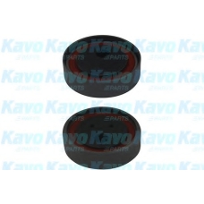 DTE-5540 KAVO PARTS Натяжной ролик, ремень ГРМ