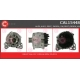 CAL15448