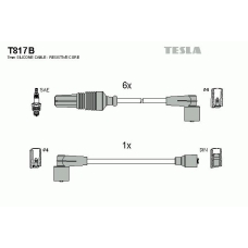 T817B TESLA Комплект проводов зажигания
