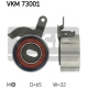 VKM 73001