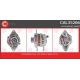 CAL35206