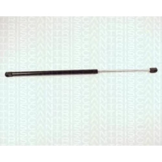 8710 24209 TRIDON Gas spring rear