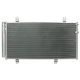 TSP0225691