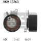 VKM 13263