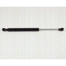 8710 27207 TRIDON Gas spring rear