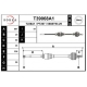 T39068A1