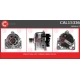 CAL15336