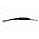 C80215ABE