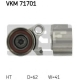 VKM 71701
