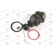 J25001YMT