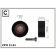 13-93<br />CAFFARO