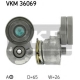 VKM 36069