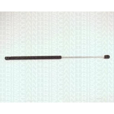 8710 24218 TRIDON Gas spring rear