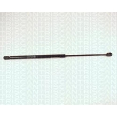 8710 25218 TRIDON Gas spring rear